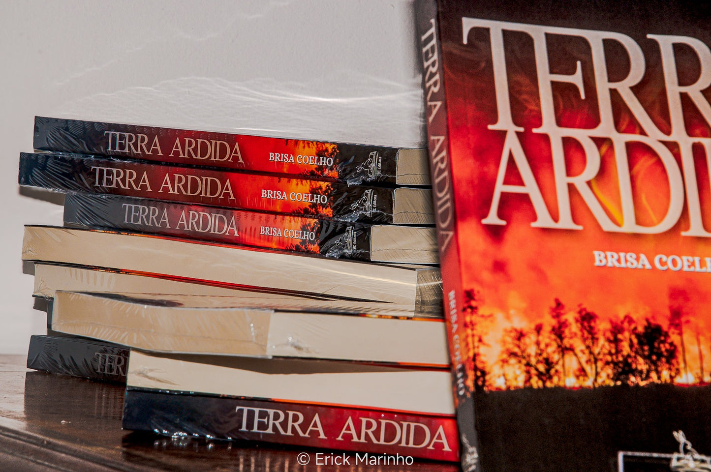 Terra Ardida